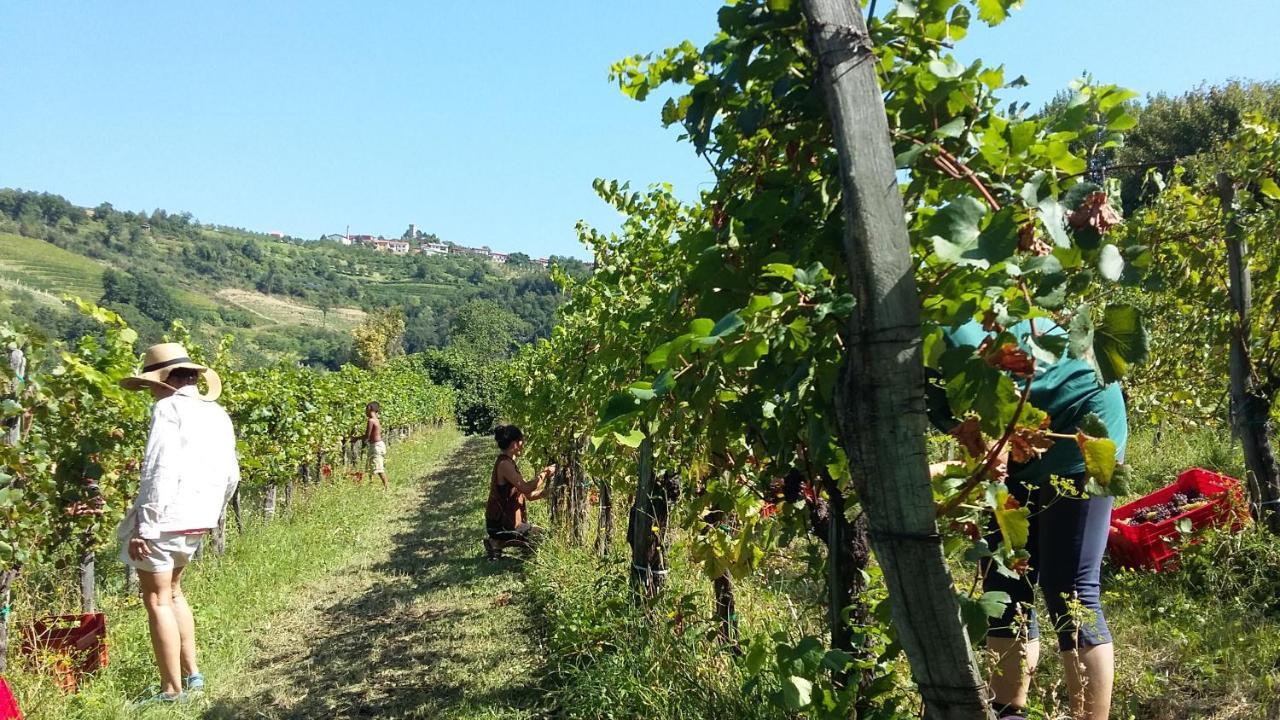 Farmstay Kmetija Stekar Kojsko Luaran gambar