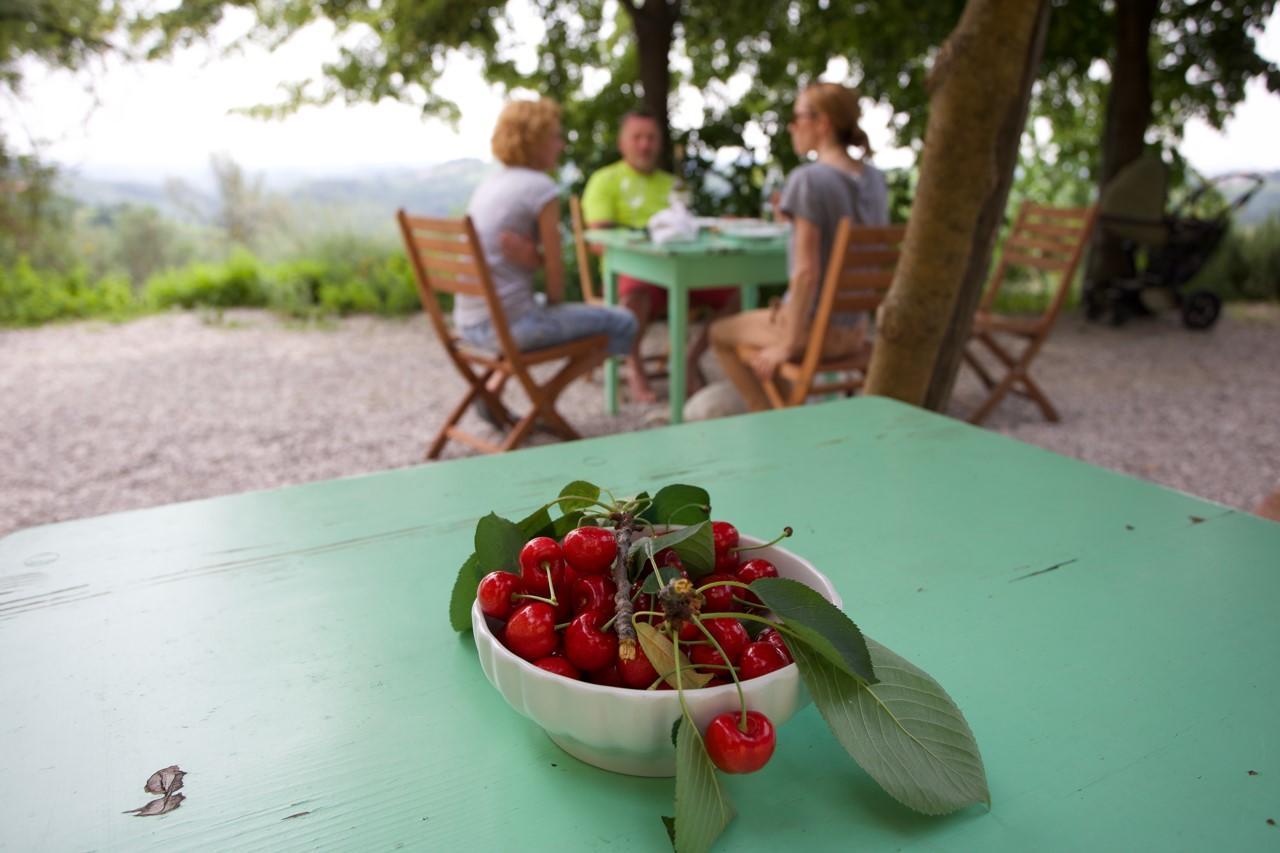 Farmstay Kmetija Stekar Kojsko Luaran gambar